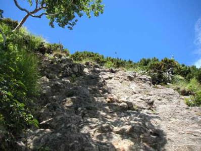 �Ԋx�R������